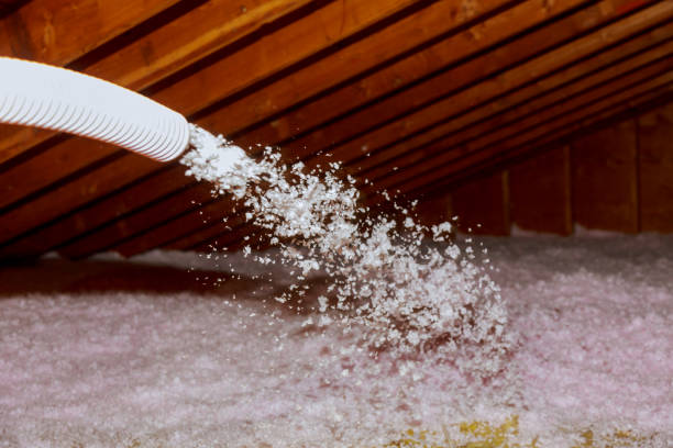 Best Residential Insulation in Dunlap, IA