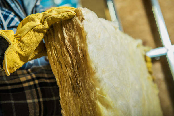 Best Eco-Friendly Insulation in Dunlap, IA