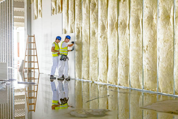 Best Blown-in Insulation in Dunlap, IA